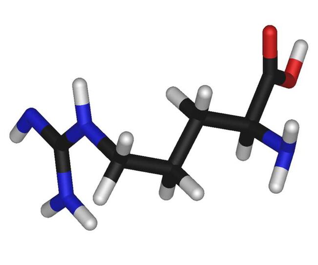 L-arginina en zxcvbnmqwert